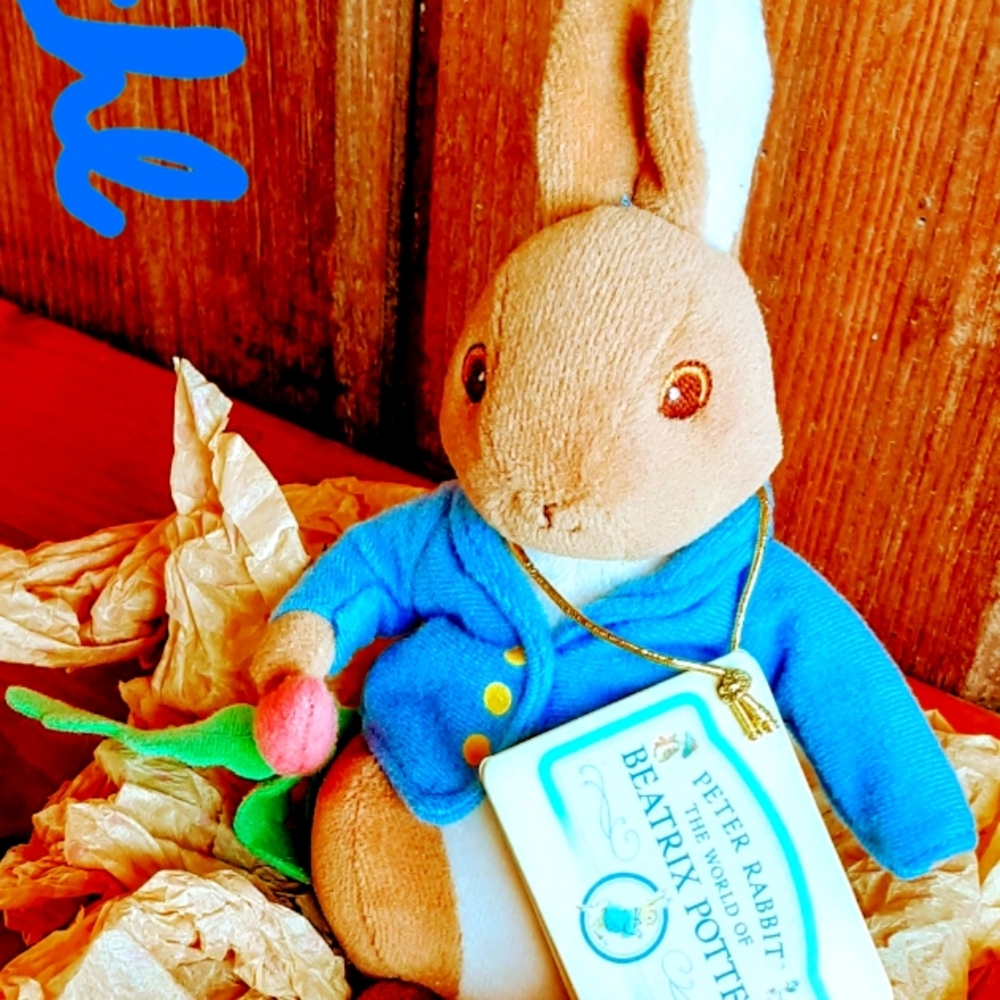 Beatrix Potter Peter Rabbit Small Stuffed Toy